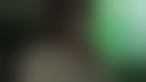 『花咲く部屋、昼下がりの蕾』DVD予告