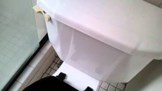 Drowning Goat Toilet