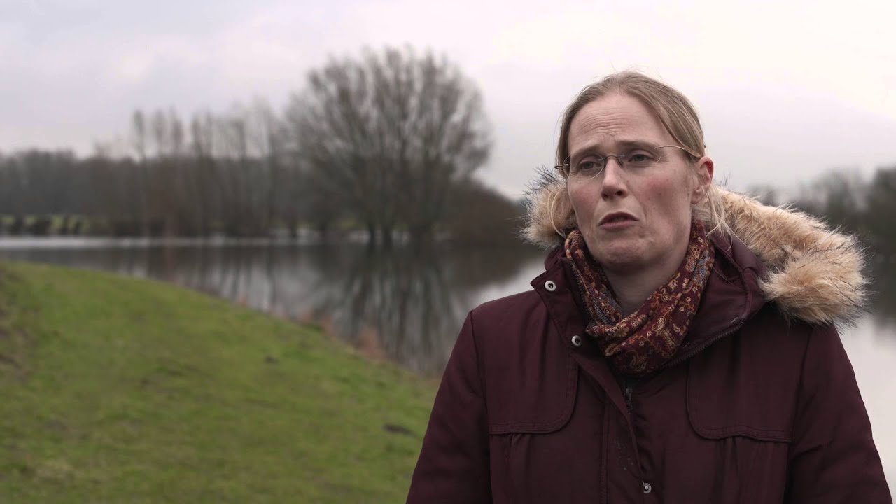 water closet Golfreductie rivierdijken. Minder onderhoud en lagere kosten lijken mogelijk