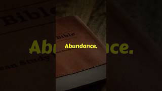 Abundance is found in God 🙌 #Abundance #Faith #Jesus #Bible #Blessed #shorts