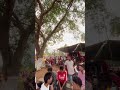 Puja