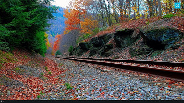 How to set up gmusicbrowser on Linux