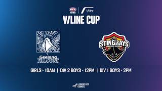 2026 V/Line Cup U15 Boys Division 2 - Geelong Falcons v South East Stingrays screenshot 4