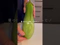 【お弁当作り】緑茄子🍆見つけたら是非食べてみて! #shorts