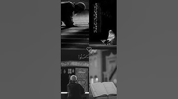 سورة العصر بأفضل صوت 🎧❣️#سورة #العصر #قرآن #قرآن_كريم #دينيه #راحة #راحه_للقلب #لايك #اسلاميات