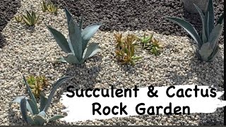 Succulent And Cactus In Ground Rock Garden / Succulent Garden / Succulent Tapestry