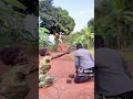 Chamuka Family NALONGO DONOZIO WEKIPALE Muzibunyo Tazanya Hahahaha Comedy Bestcomedyskit 