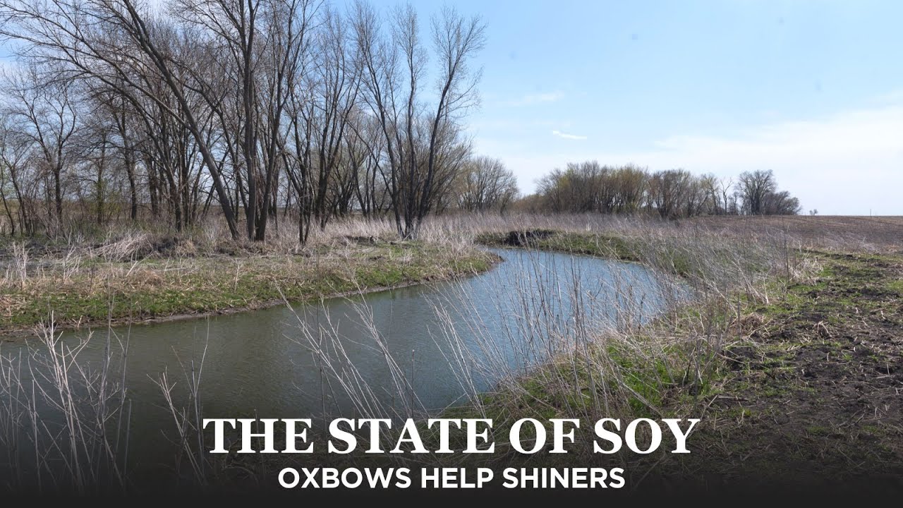 Iowa Oxbows Home to Endangered Species