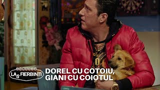 Dorel și Giani s-au separat. Dorel cu cotoiu, Giani cu coiotul | Las Fierbinți | Sezonul 24