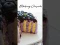 This Blueberry Cheesecake is INSANELY Good 💜#blueberrycake