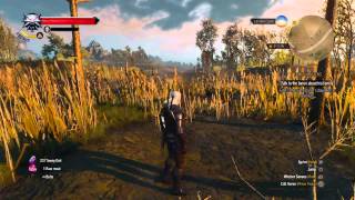 Witcher 3 Lighting and Water Effects