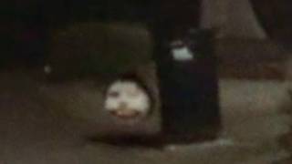 Video004