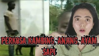 BERHUBUNGAN SEX DENGAN HEWAN KAMBING, ANJING, AYAM, SAPI 😱