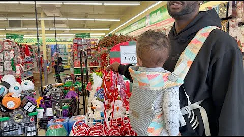 VLOGMAS DAY 1: DOLLAR TREE Christmas Decor 2025 Challenge!