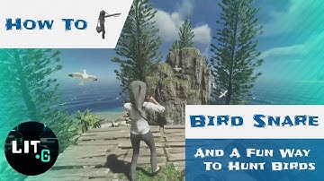 What Is The Best Way To Hunt? | Catch Birds Fast | How To Use The Bird Snare