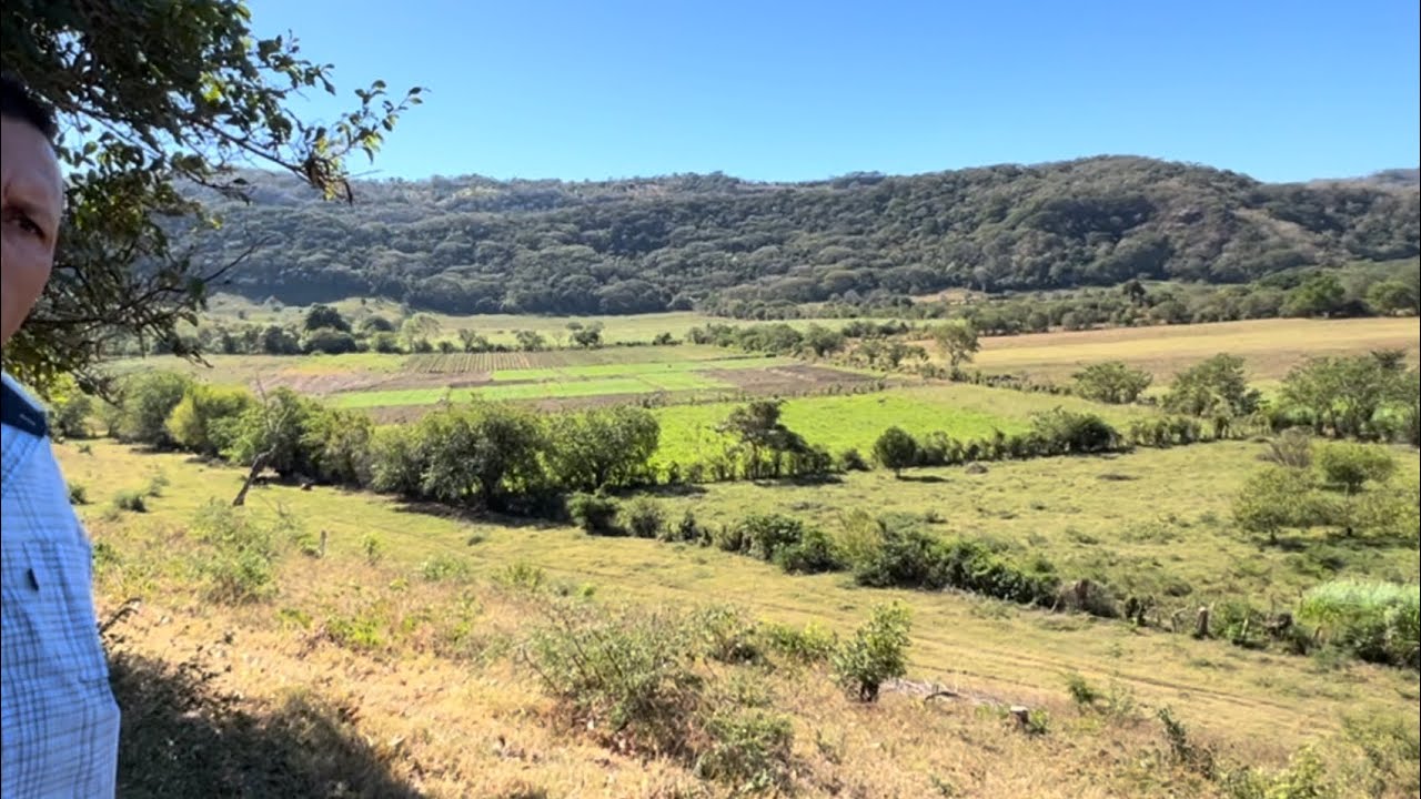 Terreno 33 manzanas $12,000 cada una regadío en Caluco sonsonate parte 5