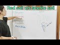 Class 10 geography chapter 1 resources and development red soil and laterite soil