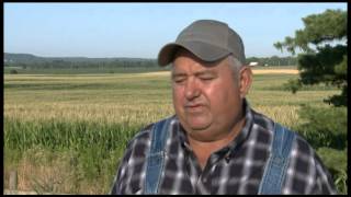 Dave Brandt talks soil comparison
