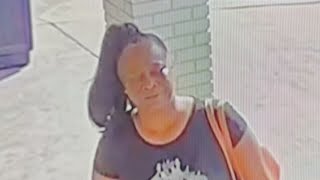 Celebrity Woman caught on camera stealing purse from delivery driver’s car outside Charlotte Food Lion Net Worth