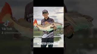 Monster Fish Bait B16 Large Mouth Bass
