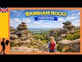 Brimham Rocks Yorkshire | Lost in the Surreal Landscape