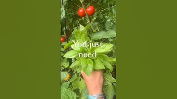 Making a plan is the secret staying happy and excited at the end of winter #garden #planting #spring