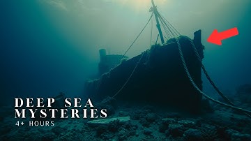 The Ocean