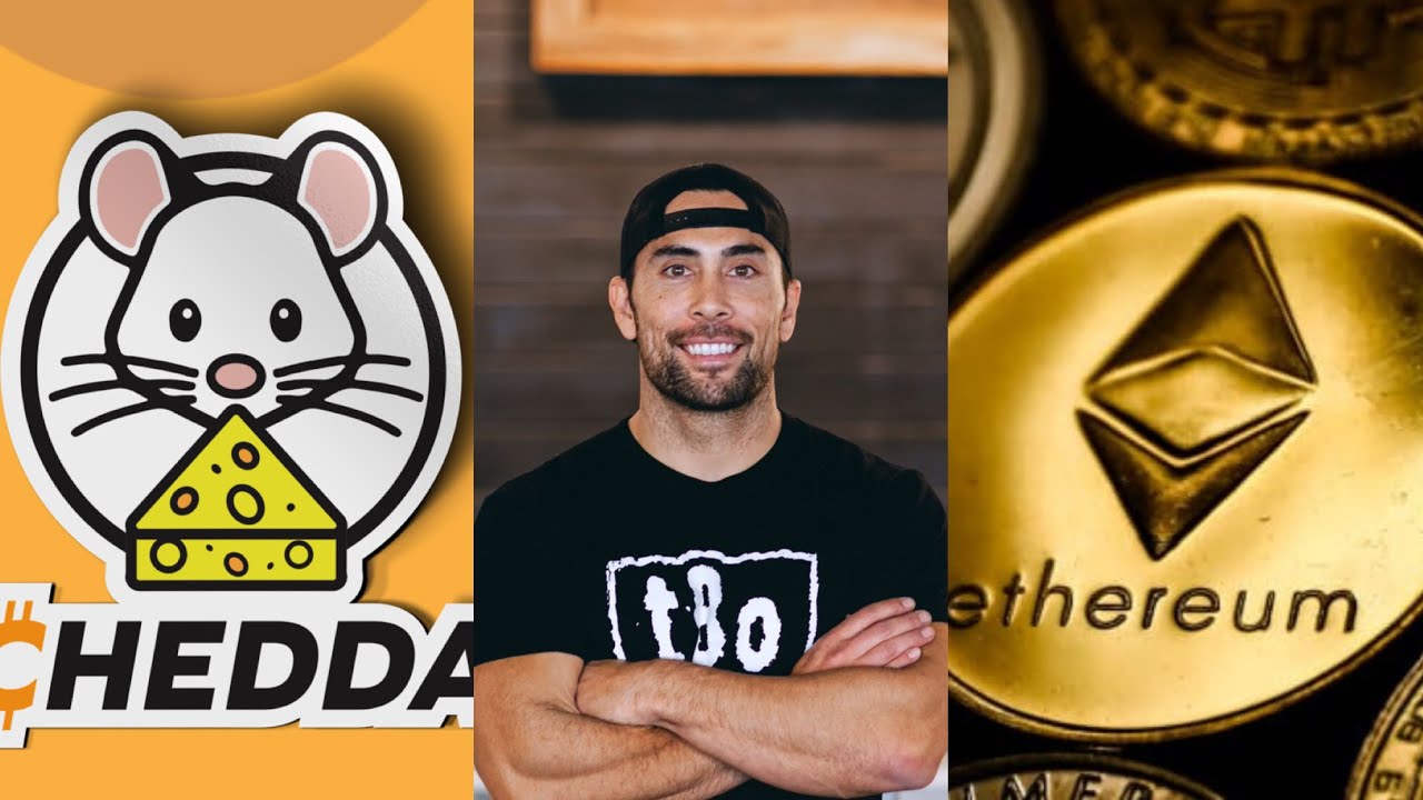 Crypto Basics and How to Buy the NEW CHEDDA TOKEN