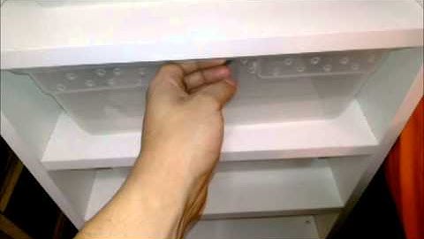 Ball python Update 3/1/14