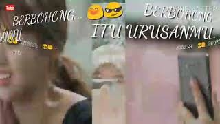 Story / status wa bikin pusing...