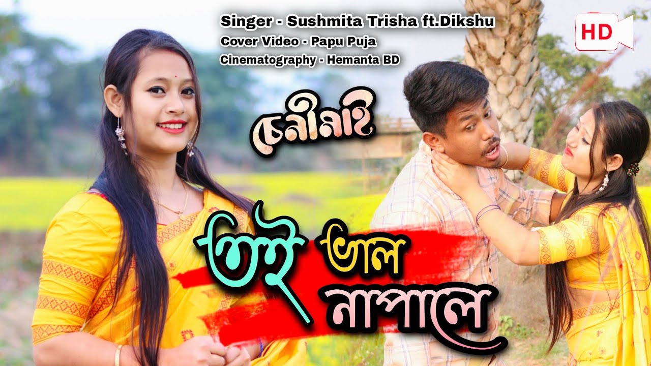 Toi Bhal Napale  Sushmita Trisha  Dikshu   Cover Video By Papu MDR
