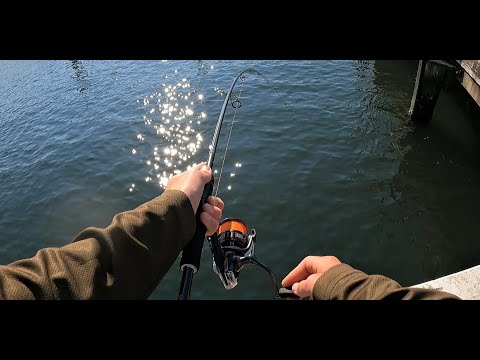 Bay Fishing For