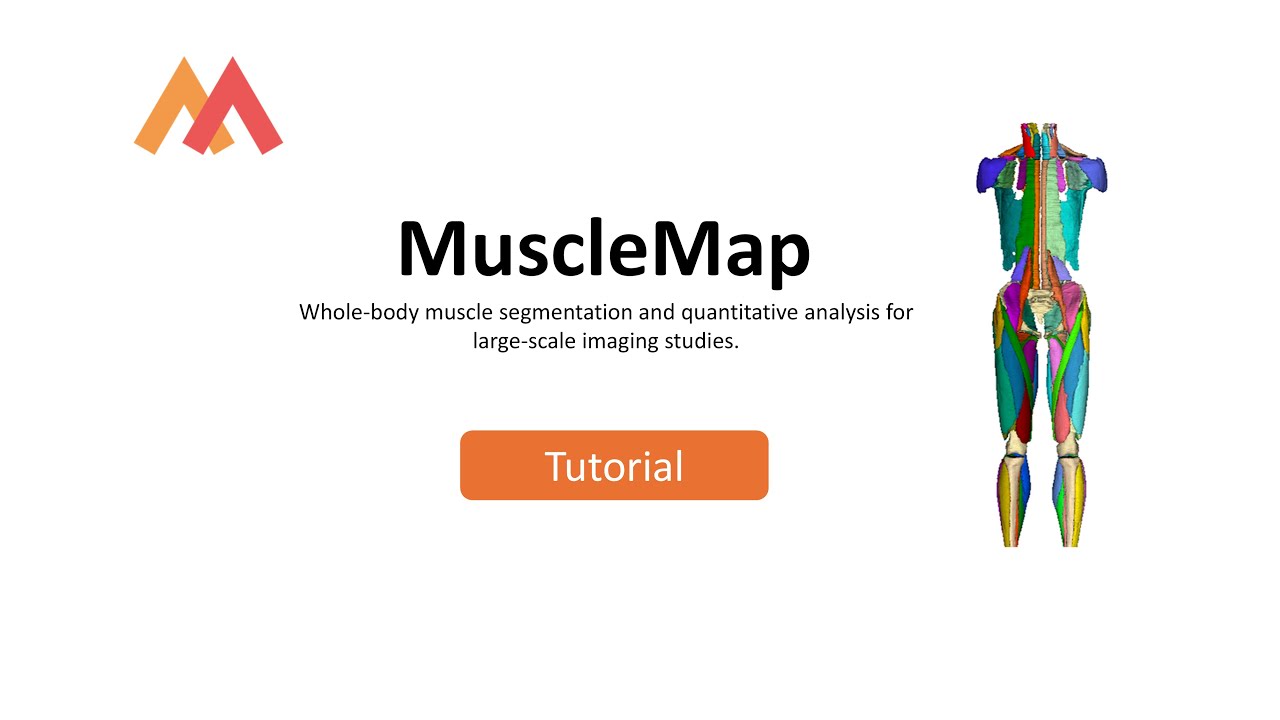 MuscleMap | Overall tutorial video - YouTube