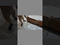 #STOOL#BED🤑🔥 DRORE                                    #wood #furnituredesign 🪚🪵🎥