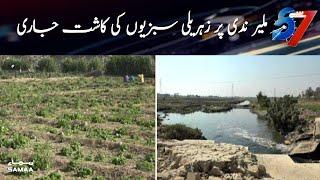In Karachi, 15% of vegetables are grown with gutter water | 7 se 8 | SAMAA TV | 04 February 2021