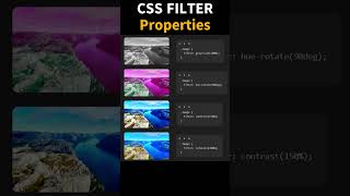 Day 1/100 | Top CSS Image Filter Effects 🔥| Web Design Tips for Beginners #webdesign #coding