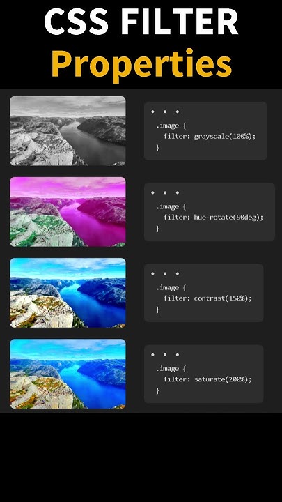 Day 1/100 | Top CSS Image Filter Effects 🔥| Web Design Tips for ...