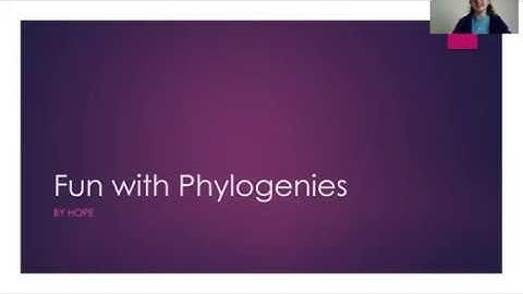 Phylogenetics Lab Introduction