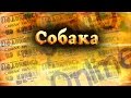 К чему снится Собака? Сонник. Бесплатное толкование снов онлайн