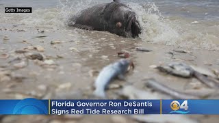 Florida Governor Ron DeSantis Signs Red Tide Research Bill