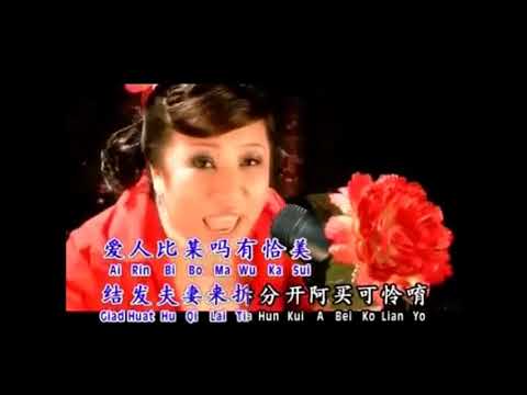 劉玲玲 十一哥  KARAOKE