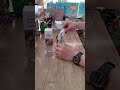 Ceramic core Grinder - Hand Grinder tested what? #viral #amazing #kitchen #shorts #home