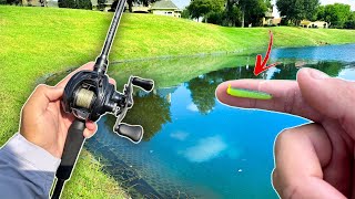 Fish Of A Lifetime Caught On A Micro Lure