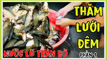 NƯỚC LŨ ĐẦU MÙA✅ ĐI GIĂNG LƯỚI CÁ RÔ VỀ KHO VỚI NƯỚC MẮM ĐỒNG MẸ NẤU || DŨNG FOOD CHANNEL #21