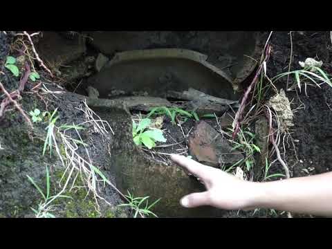 GSIP Winter 2018 菲律賓組 巴丹群島 甕棺葬