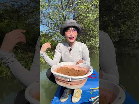 Thu hoạch cá ở điểm câu mới #fishing #cauca #caucasuoi #mayfishing #caucabien