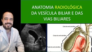 ANATOMIA A VESICULA E AS VIAS BILIARES ATRAVES DOS EXAMES DE IMAGEM US TC E RM r
