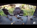 Futterautomaten für die Menschenaffen im Zoo Berlin - Poke boxes for Great apes at Zoo Berlin