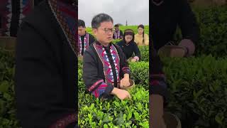 Picking tea! #shorts #drama #funny #comedy #vlog.f399