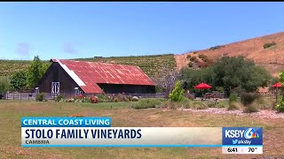 The climate is just right for Cambria s only estate winery